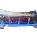 CHSP517a